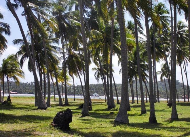 Lindo Flat Carneiros Tamandaré